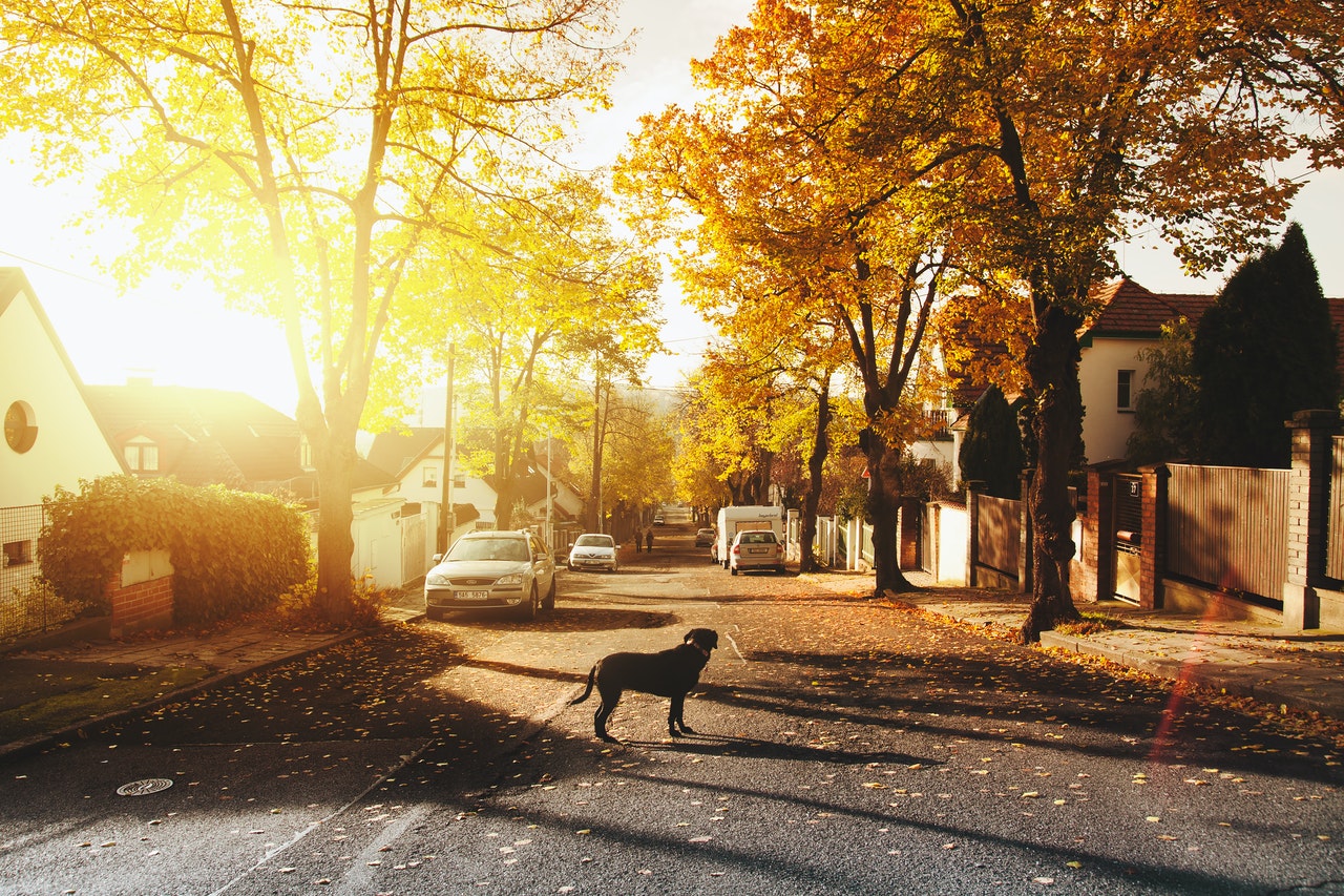 Exploring St. Catharines and Burleigh Hill: Nature, History, and Scenic Views in Niagara's Heart